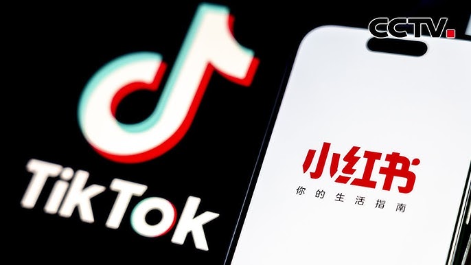 TikTok 在美國的營運危機與衍生問題分析